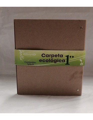 CARPETA ACCO WILSONJONES ECOLOGICA 1" P3398     X/12