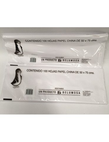 PAPEL CHINA BLANCO C/100       X/10