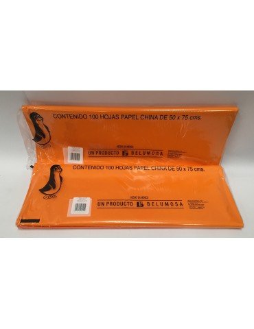 PAPEL CHINA ZEMPAZUCHILT C/100     X/10