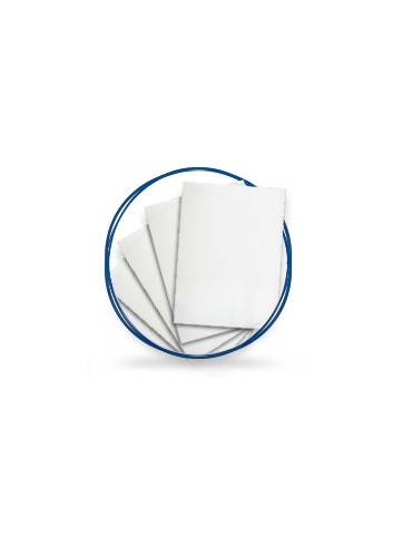 PASTA MAE P/ENCUADERNAR TRANSPARENTE PETT-25     X/20