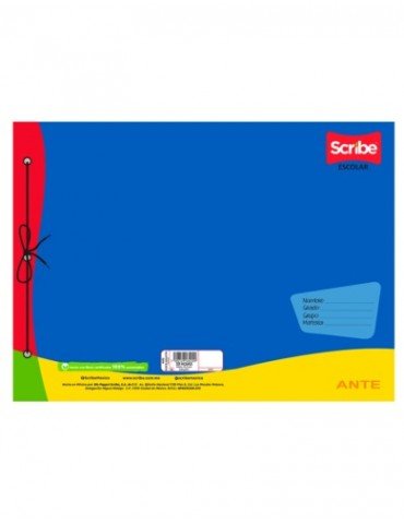 BLOCK SCRIBE DIBUJO C/AGUJETA 20H 4670     X/24 ***
