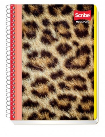 CUADERNO SCRIBE FRAN. MEGA 4540       X/48