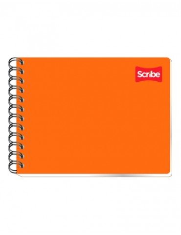 CUADERNO SCRIBE ITAL.100HJS 1501          X/36