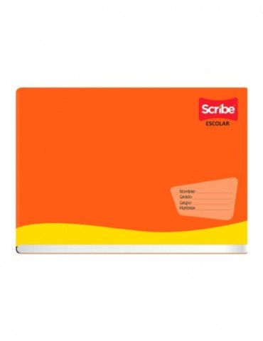 CUADERNO SCRIBE ITAL.GRAPA 6132 100HJS  X/48