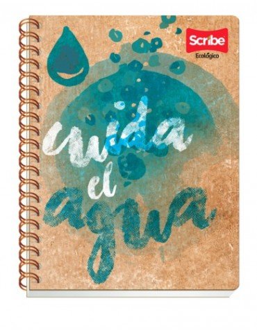 CUADERNO SCRIBE PROF. ECOLOGICO 3802     X/24
