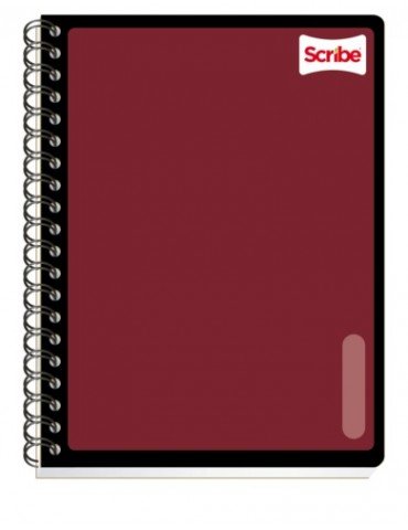CUADERNO SCRIBE PROF. SERIE 3 9650 LISO RAYA 100H  X/24