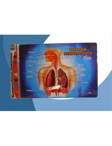 ROMPECABEZAS DNOVAC SISTEMA RESPIRATORIO C/1PZ