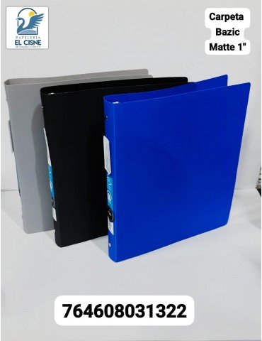 CARPETA SUAVE BAZIC MATTE 1" VAR/COL 3132       X/48