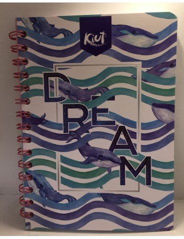 CUADERNO NORMA FRAN.100HJS KIUT RAYA 527350     X/50