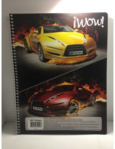 CUADERNO NORMA PROF.AMER WOW RAYA 530090       X/25