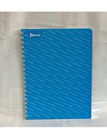 CUADERNO NORMA PROF.DURACOVER 100H.5MM 580814     X/25