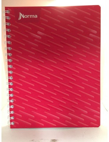 CUADERNO NORMA PROF.DURACOVER 100H.7MM 580815     X/25