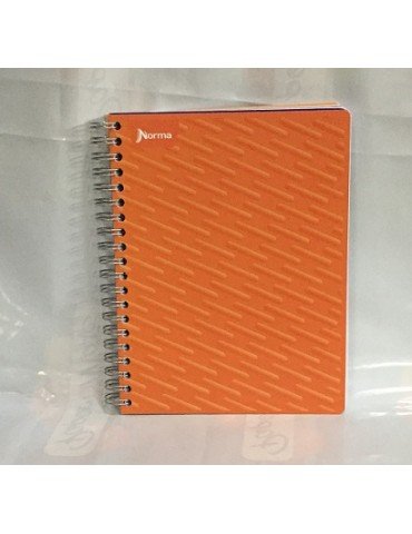 CUADERNO NORMA PROF.DURACOVER 200H.RAYA 580978     X/20