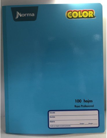 CUADERNO NORMA PROF.COSIDO 100HJS COLORS RYA 581280     X/30