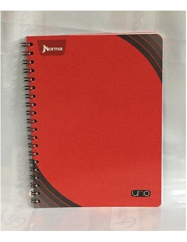 CUADERNO NORMA PROF.AMER UNO DIBUJO 582886      X/25