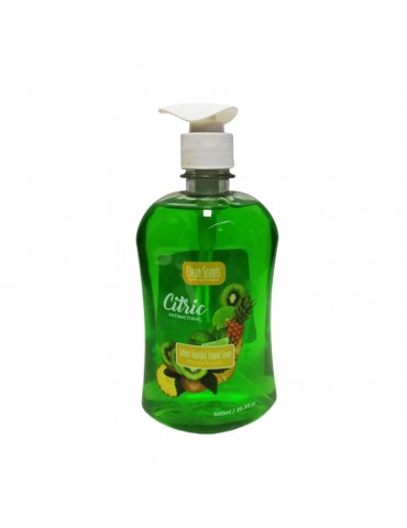 JABON LIQUIDO CLEAN SCENTS CITRIC 600ML      X/12