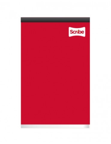 BLOCK SCRIBE ESQUELA 4813     X/36