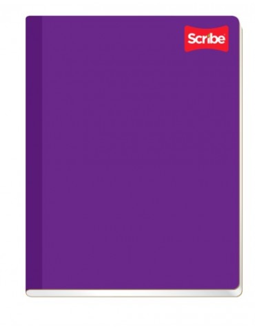 CUADERNO SCRIBE PROF.COSIDO COLEGIAL 2401 RAYA     X/24***