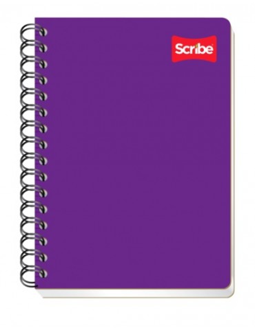CUADERNO SCRIBE FRAN.100HJS 1600     X/36