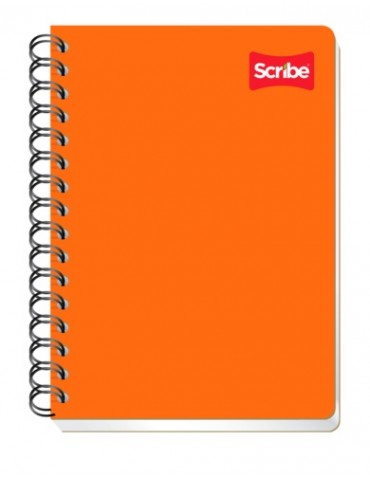 CUADERNO SCRIBE FRAN.100HJS 1601     X/36 O X/50