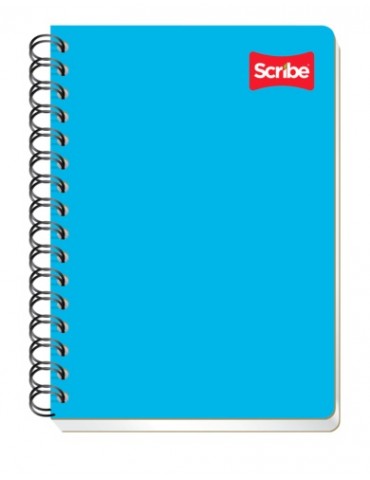 CUADERNO SCRIBE FRAN.100HJS 1603     X/36