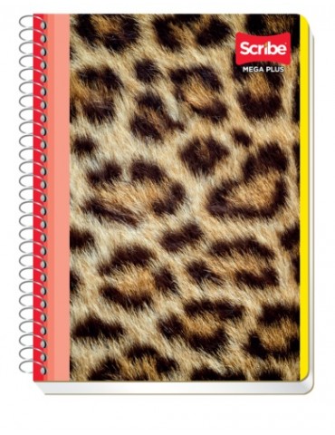 CUADERNO SCRIBE FRAN. MEGA 4540       X/48
