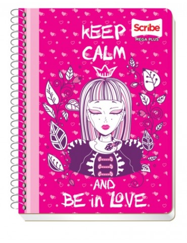 CUADERNO SCRIBE FRAN. MEGA 4543     X/48