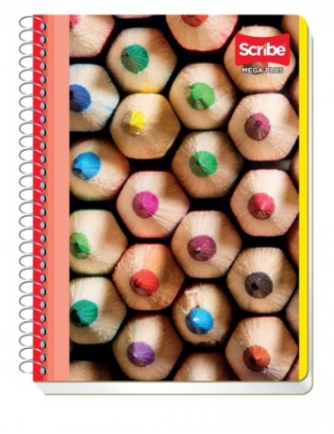 CUADERNO SCRIBE FRAN. MEGA 4544     X/48