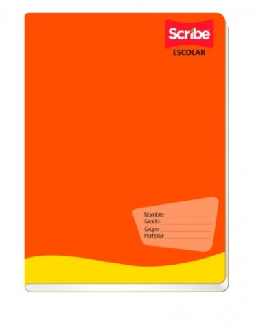 CUADERNO SCRIBE FRAN.GRAPA 6231 100HJS     X/48
