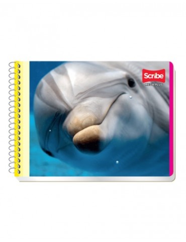 CUADERNO SCRIBE ITAL. MEGA 4533     X/48