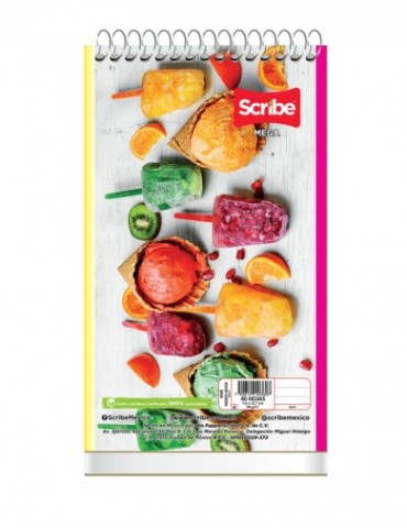 BLOCK NOTAS SCRIBE C/40HJS 4580     X/96