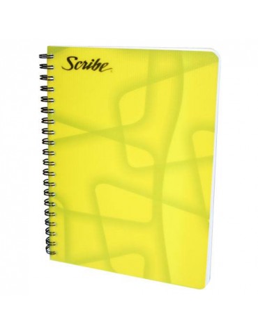 CUADERNO SCRIBE PROF. 2900 100H RAYA     X/24