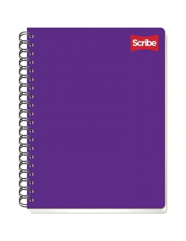 CUADERNO SCRIBE PROF. 2903 100H 7MM     X/24