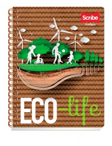 CUADERNO SCRIBE PROF. ECOLOGICO 3800     X/24