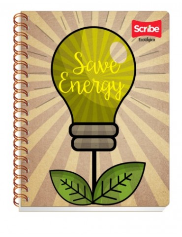CUADERNO SCRIBE PROF. ECOLOGICO 3803     X/24