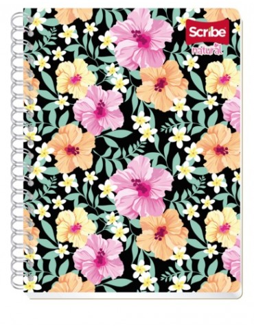 CUADERNO SCRIBE FRANC. NATURAL 6022     X/36