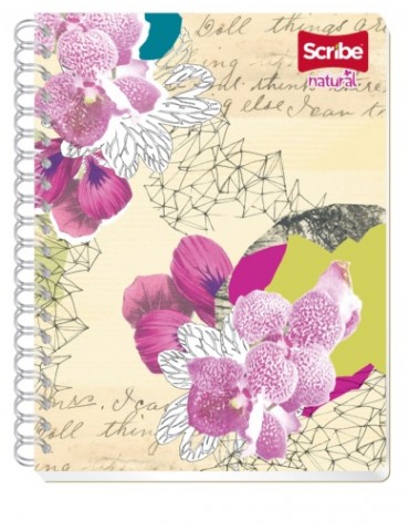 CUADERNO SCRIBE FRANC. NATURAL 6023     X/36