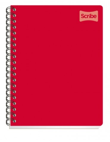 CUADERNO SCRIBE PROF. UNIVERSITARIO 2050     X/24***