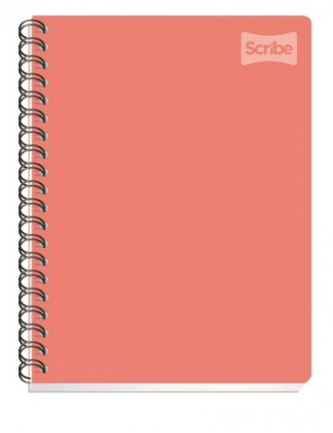 CUADERNO SCRIBE PROF. UNIVERSITARIO 2053     X/24***