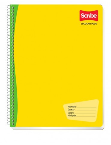 CUADERNO SCRIBE PROF. ESCO PLUS 7972    X/36