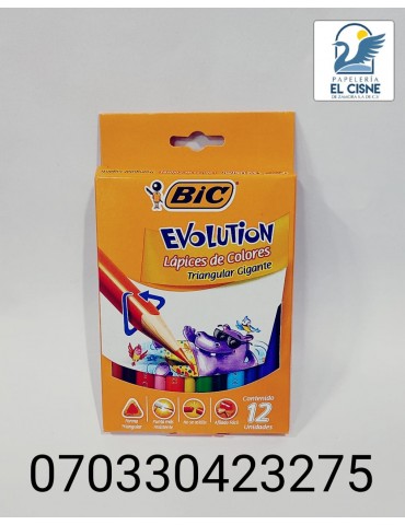 COLORES BIC EVOLUTION TRIANG GIGANTE C/12 963460    X/24