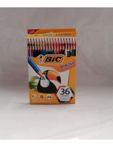 COLORES BIC EVOLUTION CONTE C/36PZ 514044    X/24