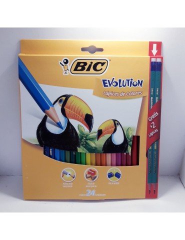 COLORES BIC EVOLUTION CONTE C/24PZ 511154    X/36